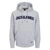 Sweat Avec Manches Longues Et Col à Capuche Jack & Jones Gris -Passons à la mode masculine ! 114027 146717vt sweat avec manches longues et col a capuche jack et jones gris 01 600x600