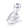 Foulard Mise Au Green Bleu Rayé -Passons à la mode masculine ! 115770 151202vt foulard mise au green bleu raye 01 600x600
