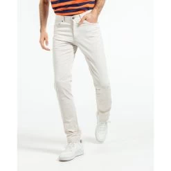 Pantalon Mise Au Green Coton Gris Clair